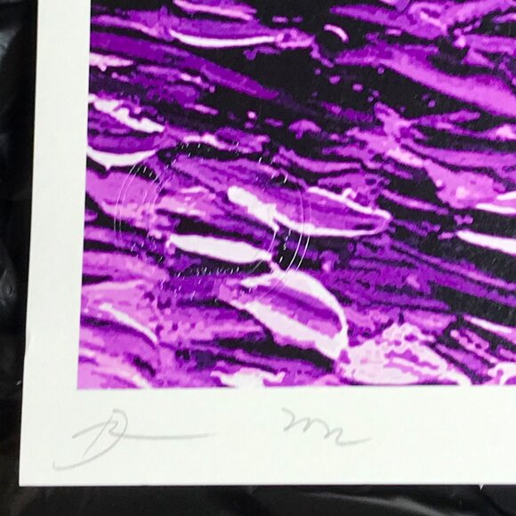 Death NYC Ltd Ed Signed Original Graffiti Print Snoopy Chanel Pop